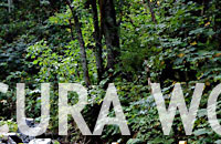 CURA WORKS