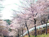 ICON摜